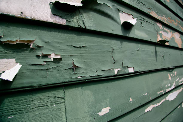 Best Fiber Cement Siding Installation  in Amherst, WI