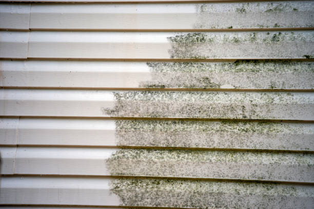 Best Siding for Commercial Buildings  in Amherst, WI