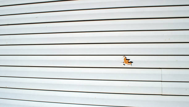Best Aluminum Siding Installation  in Amherst, WI