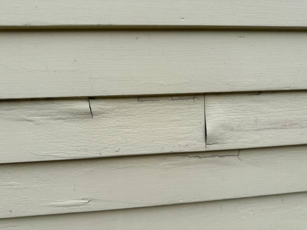 Best Wood Siding Installation  in Amherst, WI